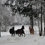 Kro Veverci Dvur *